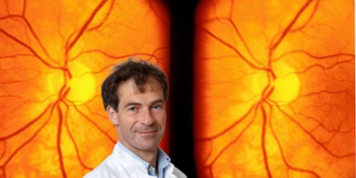 The Stereoscopic Optic Disc Assessment Course (Spanish Version)